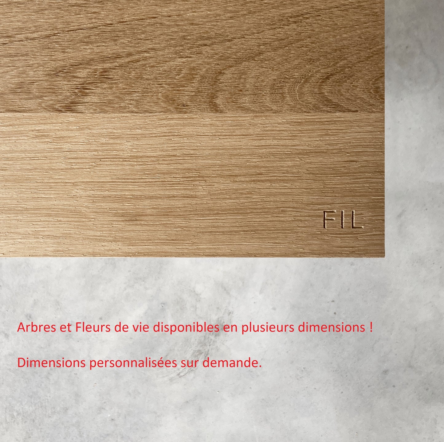 Fleur de vie en bois massif